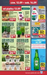 Gazetka promocyjna Aldi - Pełna oferta - Gazetka - ważna od 14.09 do 14.09.2024 - strona 23 - produkty: Piwa, Piwo, Sok, Pur, Gra, Cyprysik, Tulipan, Czosnek, Persil, Purina, Heineken, O nas, Kalanchoe, Narcyz, Fa