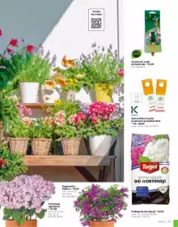 Gazetka promocyjna Leroy Merlin - Gazetka Leroy Merlin - Gazetka - ważna od 31.08 do 31.08.2023 - strona 101 - produkty: Por, Mus, Pojemnik, Dozownik, Nawóz