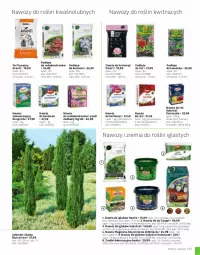 Gazetka promocyjna Leroy Merlin - Gazetka Leroy Merlin - Gazetka - ważna od 31.08 do 31.08.2023 - strona 103 - produkty: Gra, Róża, , Nawóz, Ogród