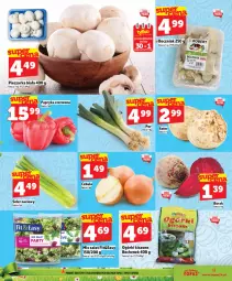 Gazetka promocyjna Topaz - Gazetka - Gazetka - ważna od 01.04 do 01.04.2026 - strona 9 - produkty: Piec, Top, Sok, Papryka czerwona, Papryka, Sałat, Pieczarka, Boczniak