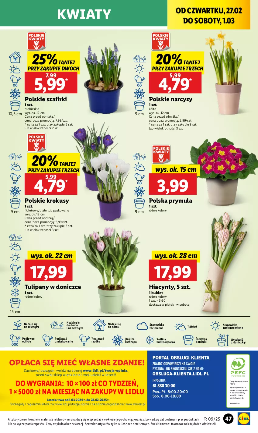 Gazetka promocyjna Lidl - GAZETKA - ważna 27.02 do 01.03.2025 - strona 53 - produkty: Bukiet, Cień, Gra, Hiacynt, Krokus, Mola, Narcyz, O nas, Por, Prymula, Sok, Tulipan