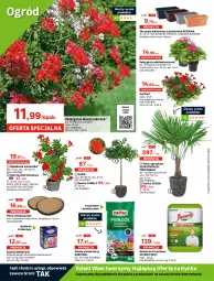 Gazetka promocyjna Leroy Merlin - Gazetka Leroy Merlin - Gazetka - ważna od 10.05 do 10.05.2022 - strona 4 - produkty: Sos, Ser, Rum, Gra, Surf, Kosz, Palma, Stock, Płyta, Lazur, Nawóz, Ogród