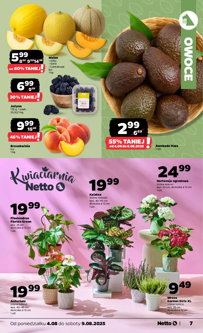 Gazetka promocyjna Netto - Od Poniedziałku - ważna 04.08 do 09.08.2025 - strona 7 - produkty: Melon, Owoce