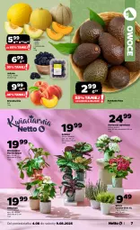 Gazetka promocyjna Netto - Od Poniedziałku - Gazetka - ważna od 09.08 do 09.08.2025 - strona 7 - produkty: Owoce, Melon