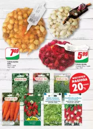 Gazetka promocyjna Dino - Gazetka 2 - Gazetka - ważna od 16.01 do 16.01.2024 - strona 42 - produkty: Cebula, Sałata masłowa, Duck, Sałat, Masło, Rzodkiewka, LG