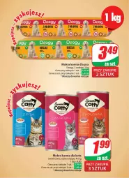 Gazetka promocyjna Dino - Gazetka 2 - Gazetka - ważna od 16.01 do 16.01.2024 - strona 48 - produkty: Mokra karma, HP, Fa