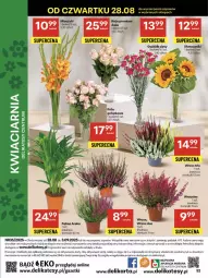 Gazetka promocyjna Delikatesy Centrum - Franczyza DC35 Czwartek - Gazetka - ważna od 03.09 do 03.09.2025 - strona 52 - produkty: Gra, Róża, Palma, Bukiet, Miecz