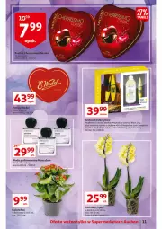 Gazetka promocyjna Auchan - przeNISKIE CENY 1001drobiazgów Supermarkety - Gazetka - ważna od 09.02 do 09.02.2022 - strona 11 - produkty: Woda perfumowana, Bell, Płyn micelarny, Praliny, Absolut, Perfum, Sati, Maybelline, Maskara, Lack, Garnier, Woda, Maska, Olej