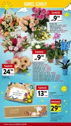 Gazetka promocyjna Intermarche - Gazetka - ważna od 26.06 do 26.06.2024 - strona 33 - produkty: Gerber, Róża, Kalanchoe, Storczyk, Czekolada, Bukiet, Lindt