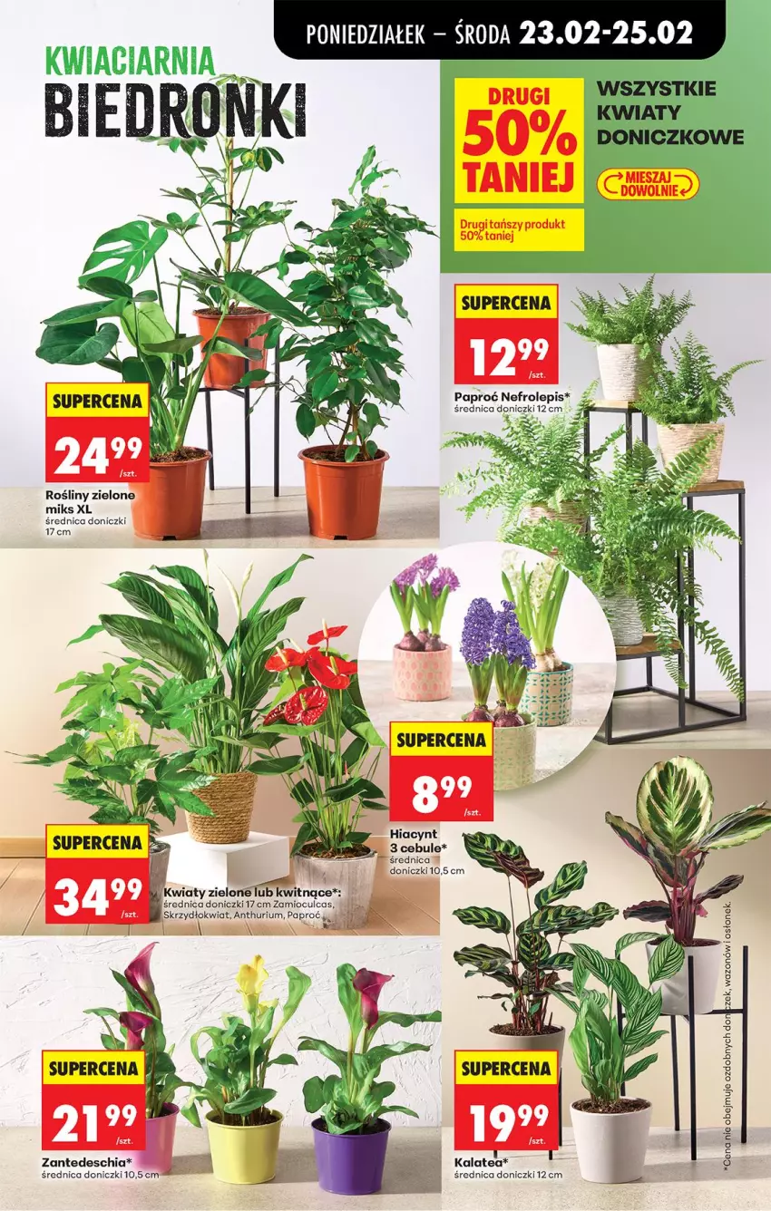 Gazetka promocyjna Biedronka - Od Poniedziałku - ważna 23.02 do 28.02.2026 - strona 25 - produkty: Chia, Hiacynt, Wazon