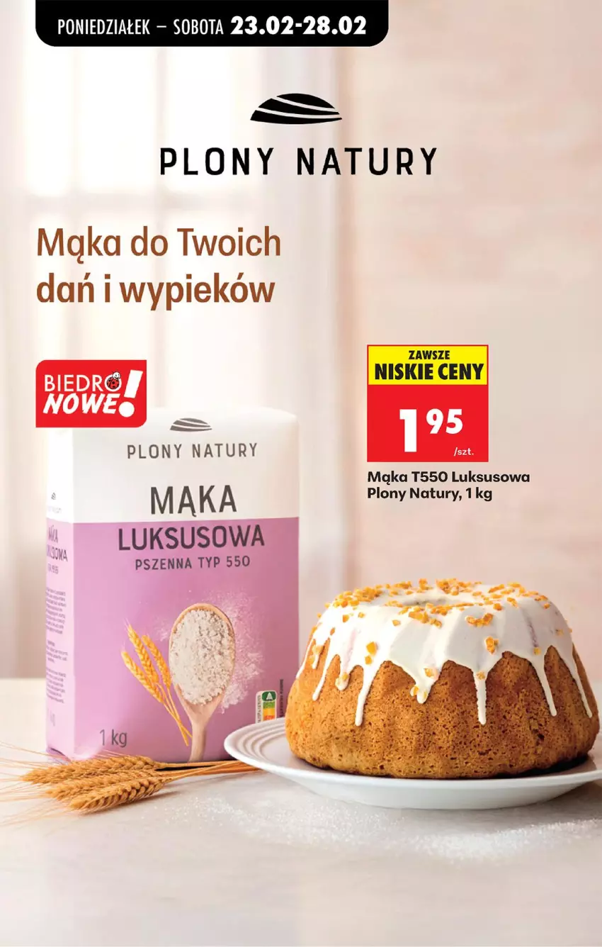 Gazetka promocyjna Biedronka - Od Poniedziałku - ważna 23.02 do 28.02.2026 - strona 53 - produkty: Mąka