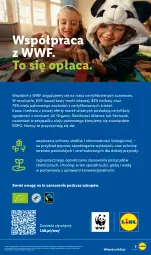 Gazetka promocyjna Lidl - Gazetka ważna od 07.09. do 12.09. - Gazetka - ważna od 12.09 do 12.09.2026 - strona 5 - produkty: Por, Gra, Kawa, Bieganie, Herbata, Olej, Fa