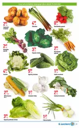 Gazetka promocyjna E Leclerc - Gazetka - ważna od 28.05 do 28.05.2022 - strona 23 - produkty: Cebula, Marchewka, Kalafior, Grunt