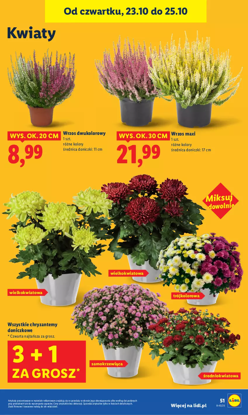 Gazetka promocyjna Lidl - GAZETKA - ważna 23.10 do 25.10.2025 - strona 55