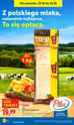Gazetka promocyjna Lidl - GAZETKA - Gazetka - ważna od 25.10 do 25.10.2025 - strona 6 - produkty: Ser, Cars, Pilos