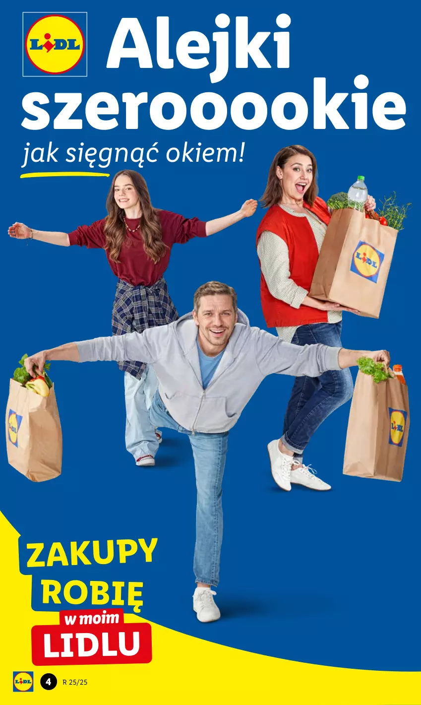 Gazetka promocyjna Lidl - GAZETKA - ważna 20.06 do 21.06.2025 - strona 4