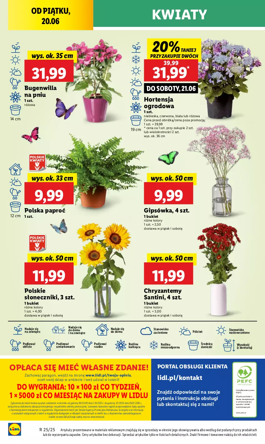 Gazetka promocyjna Lidl - GAZETKA - ważna 20.06 do 21.06.2025 - strona 50 - produkty: Bukiet, Cień, Gra, Laur, Mola, O nas, Por, Portal, Sok