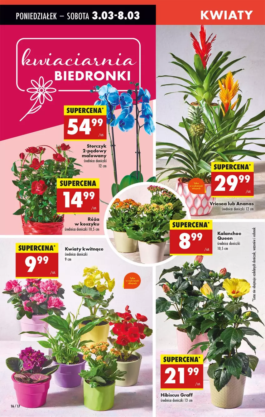 Gazetka promocyjna Biedronka - Od Poniedziałku - ważna 03.03 do 08.03.2025 - strona 22 - produkty: Ananas, Fa, Gra, Kosz, Róża, Storczyk, Wazon