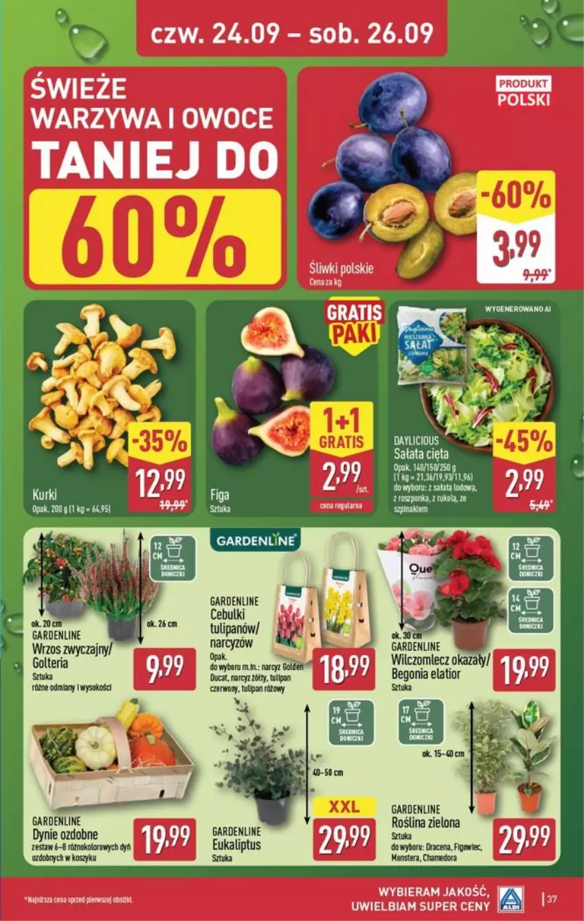 Gazetka promocyjna Aldi - Pełna oferta - ważna 21.09 do 26.09.2026 - strona 37 - produkty: Gra, Kosz, Narcyz, Owoce, Sałat, Tera, Tulipan, Warzywa, Warzywa i owoce
