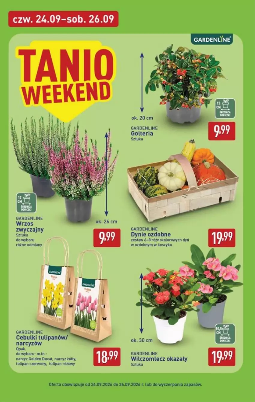Gazetka promocyjna Aldi - Pełna oferta - ważna 21.09 do 26.09.2026 - strona 38 - produkty: Fa, Kosz, Narcyz, Tulipan