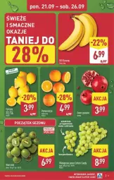 Gazetka promocyjna Aldi - Pełna oferta - Gazetka - ważna od 26.09 do 26.09.2026 - strona 5 - produkty: Banany, Gra, Granat, Pomarańcze, Candy, Wino