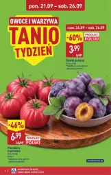 Gazetka promocyjna Aldi - Pełna oferta - Gazetka - ważna od 26.09 do 26.09.2026 - strona 8 - produkty: Warzywa, Owoce, Pomidory