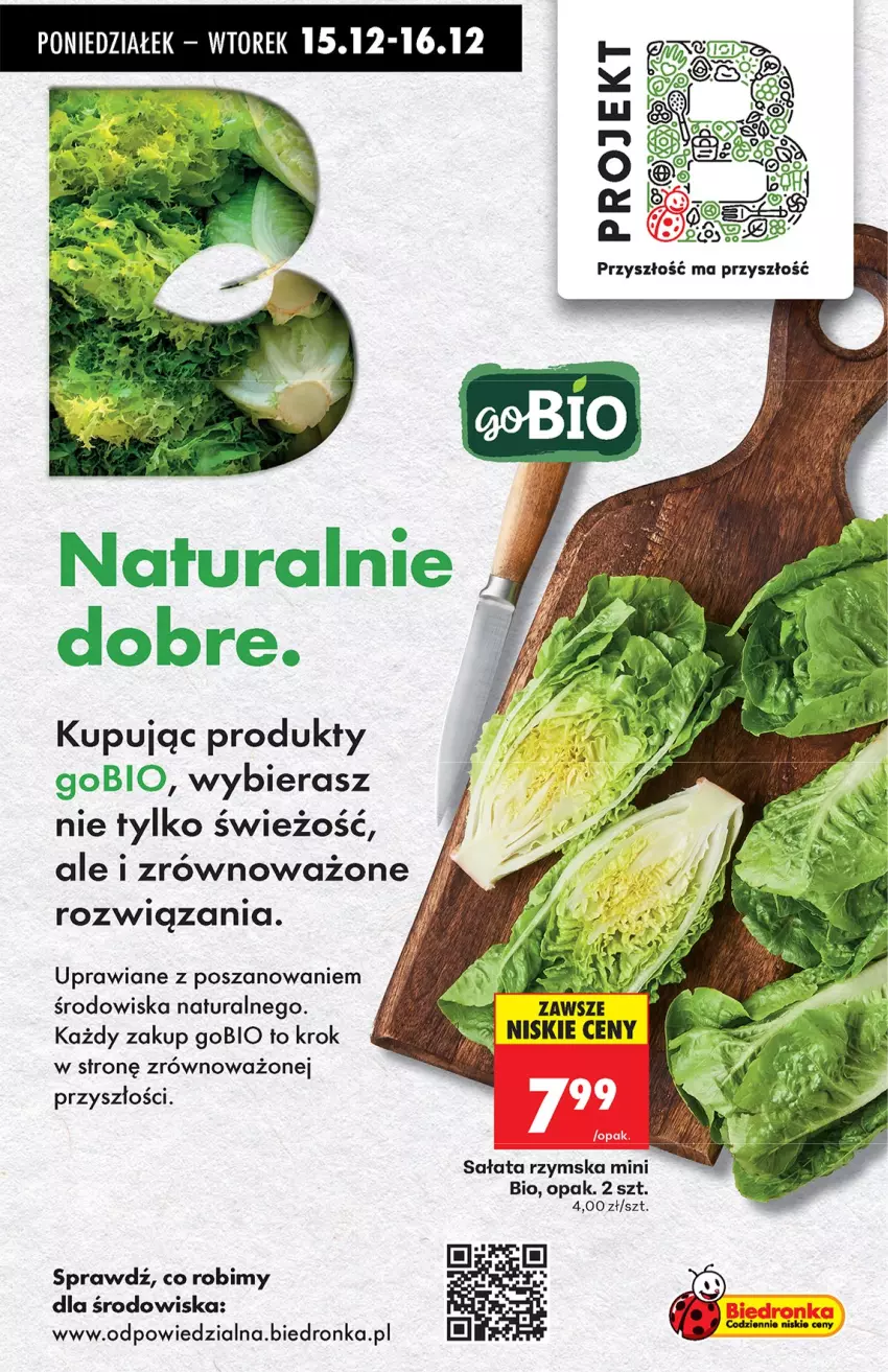 Gazetka promocyjna Biedronka - od Poniedziałku - ważna 15.12 do 21.12.2025 - strona 73 - produkty: Sałat
