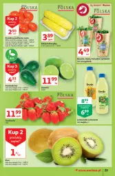 Gazetka promocyjna Auchan - Rysują się kolorowe sny Hipermarkety - Gazetka - ważna od 25.08 do 25.08.2021 - strona 25 - produkty: Lemoniada, Kolendra, Kiwi, Bazyl, Bazylia, Pomidory, Mięta