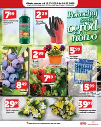 Gazetka promocyjna Topaz - Gazetka - Gazetka - ważna od 19.03 do 19.03.2025 - strona 27 - produkty: Top, Mus, Biohumus, Rękawice, Nawóz
