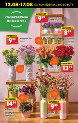 Gazetka promocyjna Biedronka - Od poniedzialku - Gazetka - ważna od 17.08 do 17.08.2024 - strona 25 - produkty: Campanula, Sok, Wazon, Sukulent