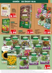 Gazetka promocyjna Kaufland - Kaufland - Gazetka - ważna od 25.06 do 25.06.2025 - strona 21 - produkty: Sok, Kora ogrodowa, Roszponka, Papryka, Sałat, Prima, Bazyl, Bazylia, Nawóz, Ogród