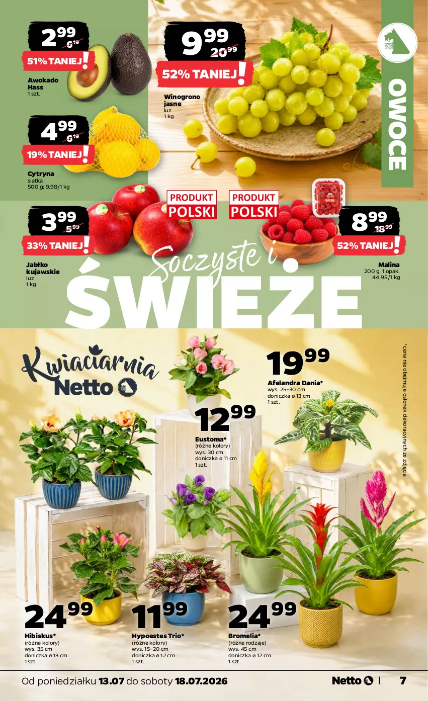 Gazetka promocyjna Netto - Od Poniedziałku - ważna 13.07 do 18.07.2026 - strona 7 - produkty: Bromelia, Hibiskus, Kujawski, Owoce, Siatka, Wino