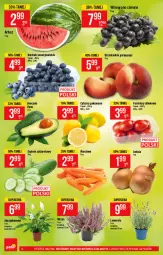 Gazetka promocyjna PoloMarket - Gazetka pomocyjna - Gazetka - ważna od 03.08 do 03.08.2021 - strona 8 - produkty: Cebula, Ogórek, Cytryny, Brzoskwinie, Wino, Pomidory