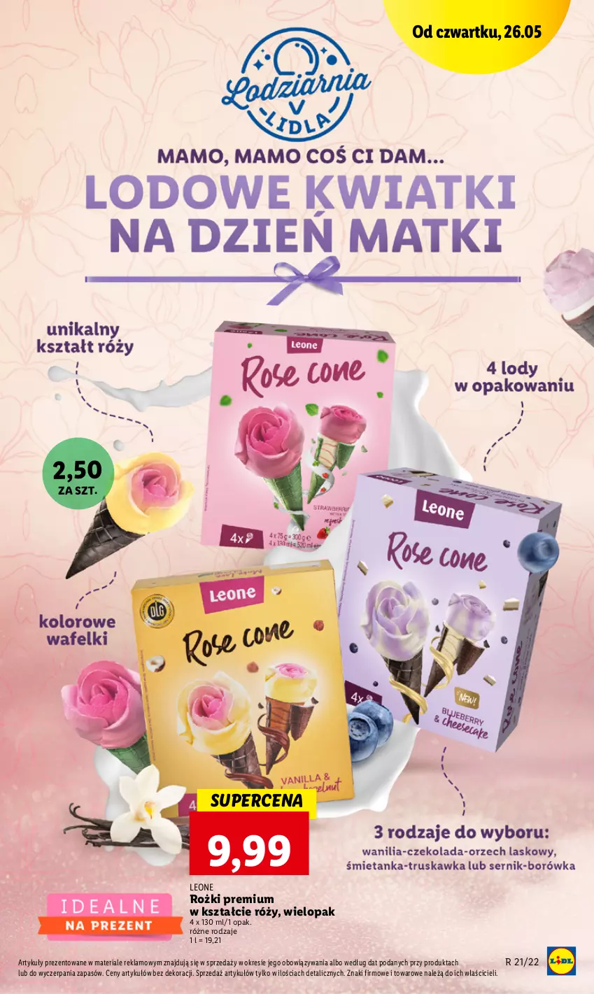 Gazetka promocyjna Lidl - GAZETKA - ważna 26.05 do 28.05.2022 - strona 49 - produkty: Leon