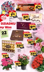 Gazetka promocyjna Netto - Oferta Tygodnia - Gazetka - ważna od 23.01 do 23.01.2021 - strona 13 - produkty: Cukier, Róża, Kret, Wawel, Bukiet, Ferrero, Cukierki