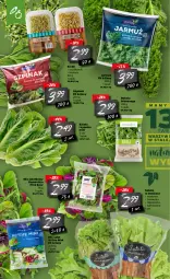 Gazetka promocyjna Netto - Oferta Tygodnia - Gazetka - ważna od 23.01 do 23.01.2021 - strona 4 - produkty: Rukola, Sałat, Kiełki, Prima, Masło, Jarmuż, Szpinak