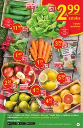 Gazetka promocyjna Delikatesy Centrum - Gazetka DC09 - Gazetka - ważna od 09.03 do 09.03.2022 - strona 15 - produkty: Tera, Sanki, Mobil
