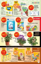 Gazetka promocyjna Delikatesy Centrum - Gazetka DC09 - Gazetka - ważna od 09.03 do 09.03.2022 - strona 27 - produkty: Kurczak, Warzywa, Sos, Ryż, Cyklamen, Róża, Friskies, BoboVita, Kalanchoe, Chusteczki, Zmywaki kuchenne, Płyn do spryskiwaczy, Pedigree, Miecz, Mleko, Fa