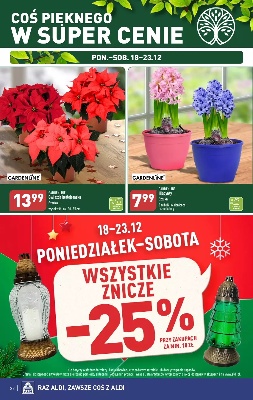 Gazetka promocyjna Aldi - Pełna oferta - ważna 18.12 do 23.12.2023 - strona 28 - produkty: Gwiazda, Hiacynt, Sok, Znicz