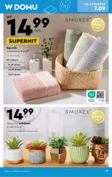 Gazetka promocyjna Biedronka - Gazetka - ważna od 16.09 do 16.09.2023 - strona 27 - produkty: Ręcznik, Sukulent, Fa