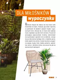 Gazetka promocyjna Obi - Gazetka OBI - Gazetka - ważna od 31.01 do 31.01.2023 - strona 5 - produkty: Por, Mus, Róża, Poducha, Fotel, Kanapa