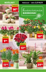 Gazetka promocyjna Biedronka - Od Poniedziałku - Gazetka - ważna od 08.11 do 08.11.2025 - strona 17 - produkty: Sok, Cyklamen, Róża, Bukiet, Fa
