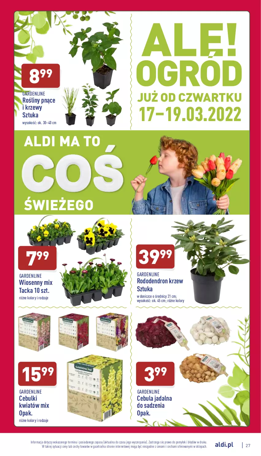 Gazetka promocyjna Aldi - Katalog spożywczy - ważna 14.03 do 19.03.2022 - strona 27 - produkty: Cebula, Sok