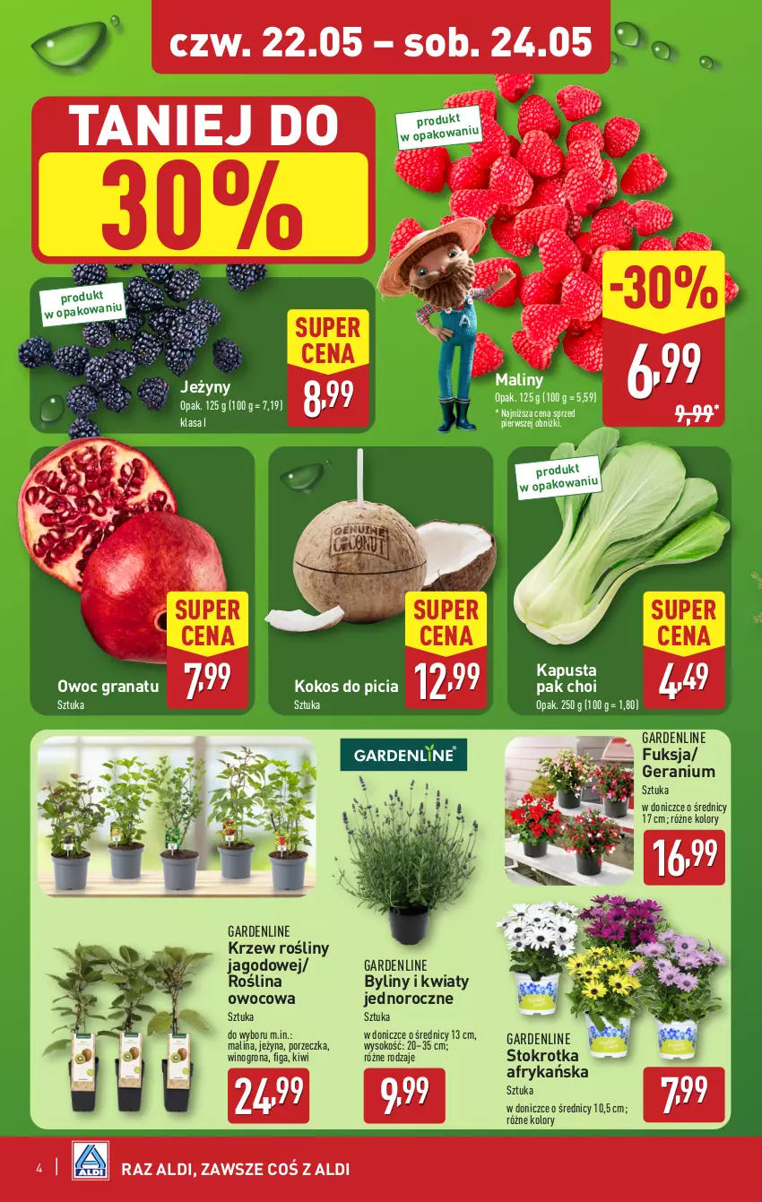 Gazetka promocyjna Aldi - Oferta weekendowa - ważna 22.05 do 24.05.2025 - strona 4 - produkty: Gra, Granat, Jeżyny, Kiwi, Kokos, Maliny, Por, Sok, Wino, Winogrona