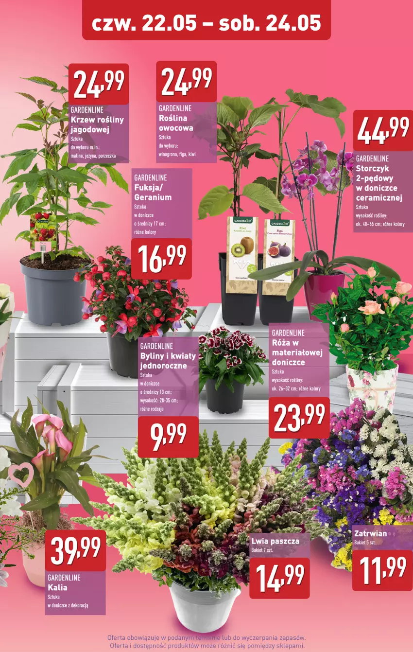Gazetka promocyjna Aldi - Oferta weekendowa - ważna 22.05 do 24.05.2025 - strona 9