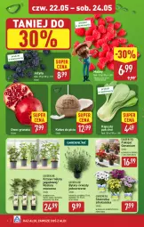 Gazetka promocyjna Aldi - Oferta weekendowa - Gazetka - ważna od 24.05 do 24.05.2025 - strona 4 - produkty: Sok, Por, Gra, Granat, Jeżyny, Kiwi, Maliny, Winogrona, Wino, Kokos