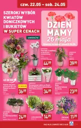 Gazetka promocyjna Aldi - Oferta weekendowa - Gazetka - ważna od 24.05 do 24.05.2025 - strona 5 - produkty: Sok, Róża, Storczyk, Bukiet