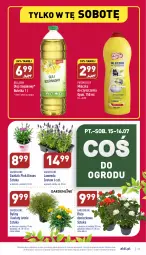 Gazetka promocyjna Aldi - Pełny katalog - Gazetka - ważna od 16.07 do 16.07.2022 - strona 27 - produkty: Sok, Róża, Bell, Mleczko, Putzmeister, Olej rzepakowy, Bella, Olej