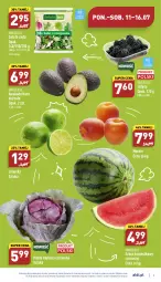 Gazetka promocyjna Aldi - Pełny katalog - Gazetka - ważna od 16.07 do 16.07.2022 - strona 3 - produkty: Jeżyny, Sałat, Limonka, Arbuz