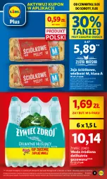 Gazetka promocyjna Lidl - GAZETKA - Gazetka - ważna od 11.05 do 11.05.2024 - strona 9 - produkty: Jaja, LANA, Woda, Olej